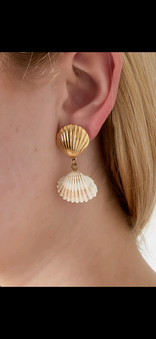 Sea shell baby